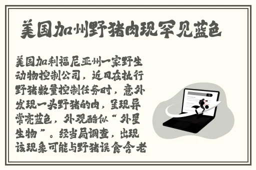 91吃瓜事件黑料吃瓜